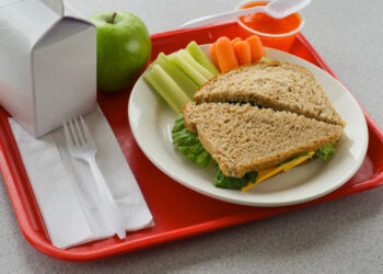 Com a volta às aulas, o que devo preparar para o lanche do meu filho?