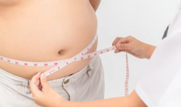 4 tipos de doenças que a obesidade pode provocar
