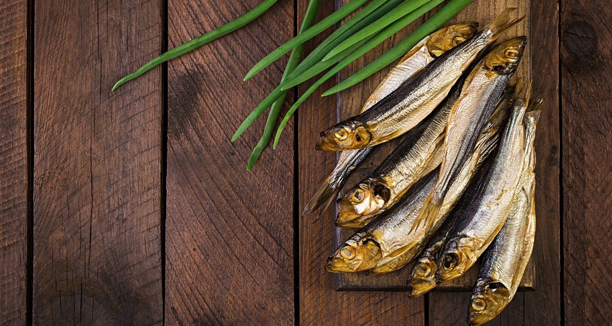 Porque você deve incluir sardinha na sua dieta?